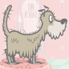 Pet Spa Challenge